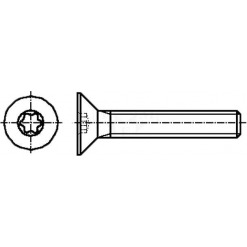 Alternativ syn på Maskinskrue - ISO 14581 A2, M3 x 10mm, torx