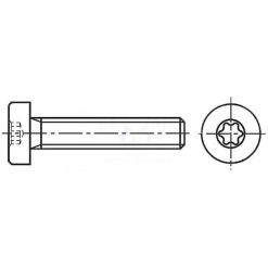Alternativ syn på Maskinskrue - ISO 14580 A2, M3 x 25mm, torx