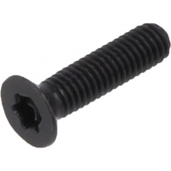 Maskinskrue - ISO 14581 A2, M3 x 10mm, torx, svart